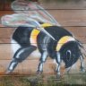Green_bee